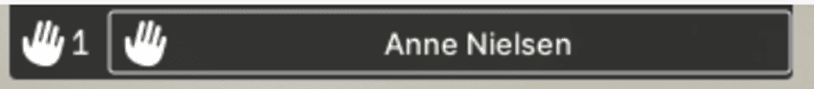 Eksempel på en person, Anne Nielsen, har rakt hånden op